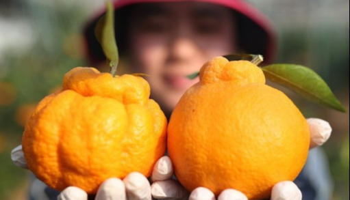 ì°í©ë´ì¤