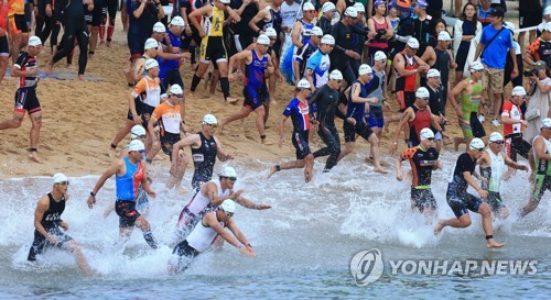 드레곤 스포츠 이미지