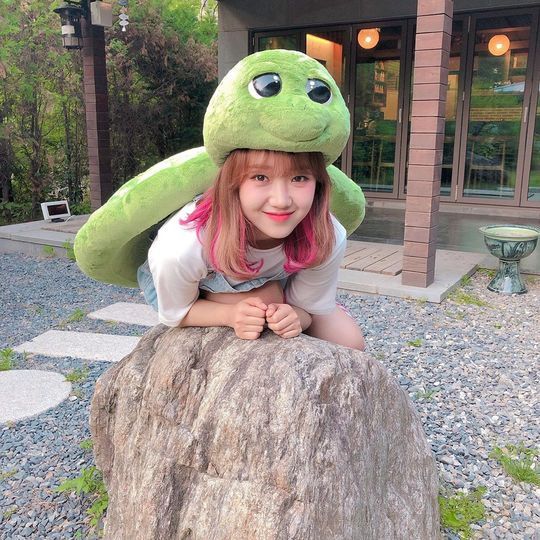 Group Wikimiki member Choi Yoo-jung has a cute charm.Wikimikkis official Instagram posted a picture on August 6 with an article entitled I met a dangbuk on the road.Inside the picture was a picture of Choi Yoo-jung wearing a Turtles mask overturned; Choi Yoo-jung smiles brightly at the camera.Choi Yoo-jungs disappearing small face size catches the eye.The fans who responded to the photos responded I love you, I am the most cute in the world and I am so cute.delay stock