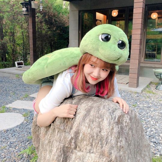 Group Wikimiki member Choi Yoo-jung has a cute charm.Wikimikkis official Instagram posted a picture on August 6 with an article entitled I met a dangbuk on the road.Inside the picture was a picture of Choi Yoo-jung wearing a Turtles mask overturned; Choi Yoo-jung smiles brightly at the camera.Choi Yoo-jungs disappearing small face size catches the eye.The fans who responded to the photos responded I love you, I am the most cute in the world and I am so cute.delay stock