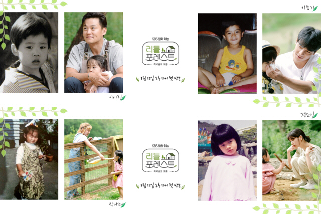 포레스트 이미지