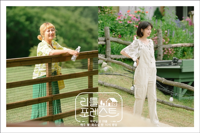 포레스트 이미지