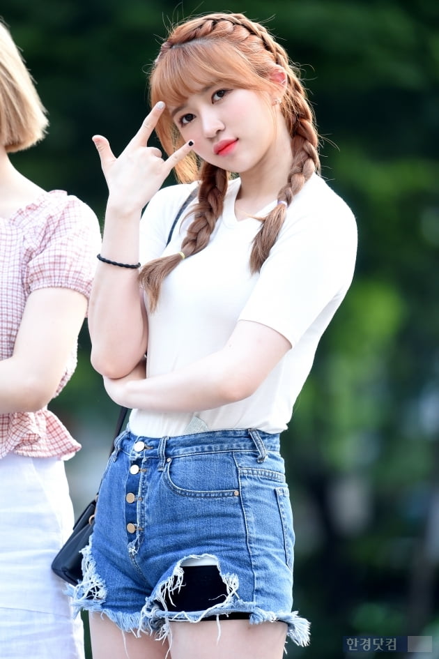 로하 이미지