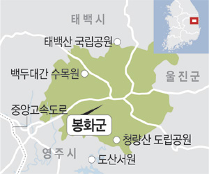 태양산림 이미지