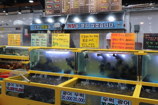 어시장 활어회 이미지