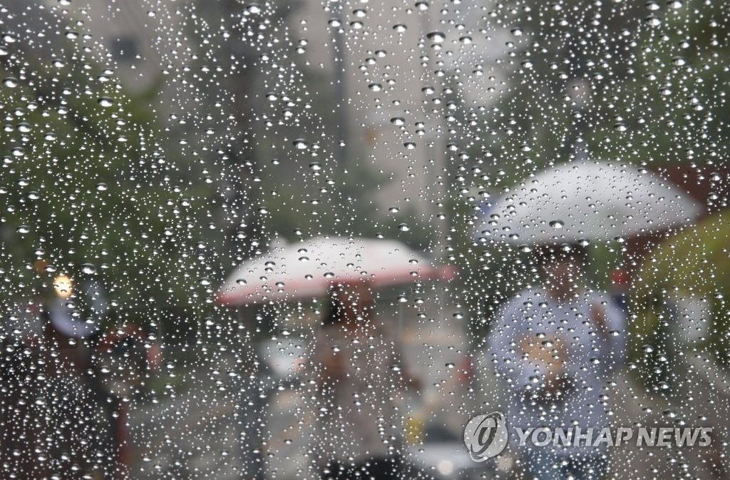 비가와 이미지