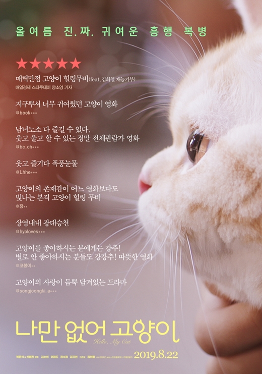 나만없어고양이 이미지