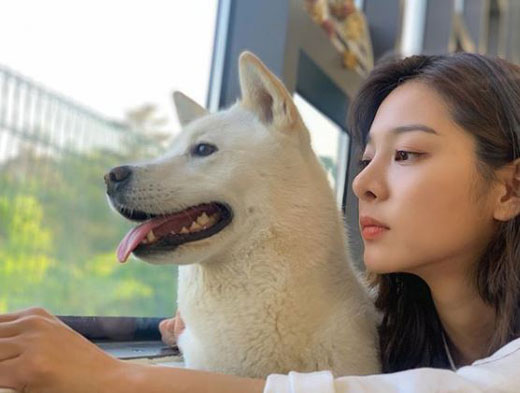 줄리 이미지