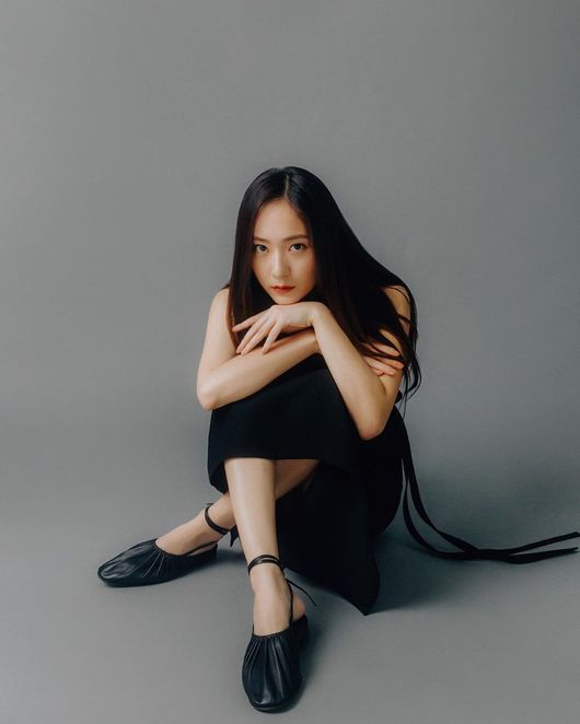 크리스탈장 이미지