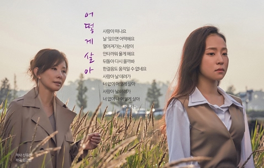 장윤정머리사랑 이미지