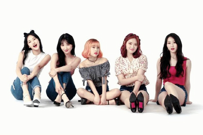 홀릭스 이미지
