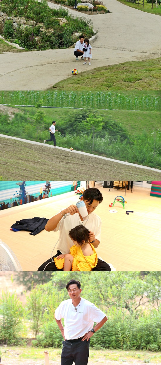 스윗 포레스트 이미지
