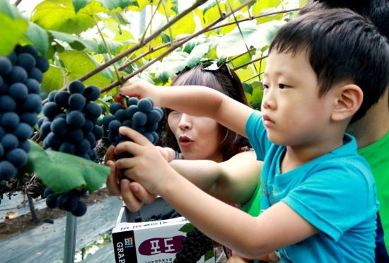 고서농업협동조합 이미지