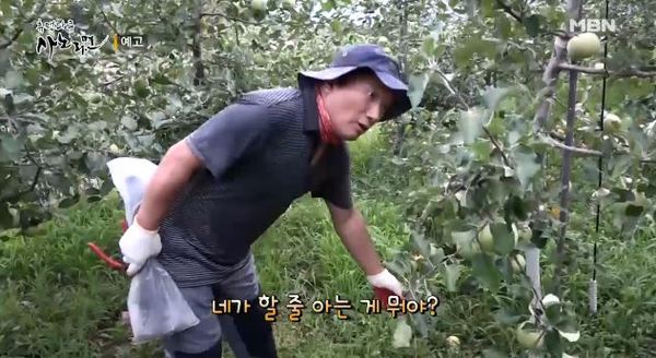 사노라면 이미지
