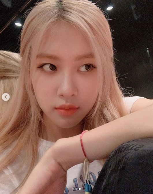 로제 이미지