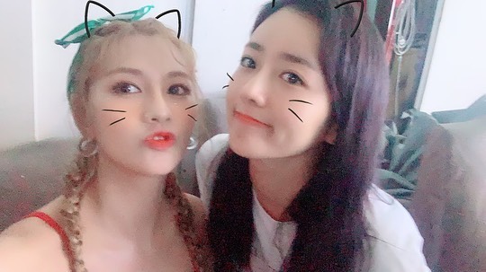Apink Yoon Bomi Cheering Oh Ha-young solo albumOn August 21, Yoon Bomi posted several photos on his instagram with an article entitled Good luck # Don make me rough.In the open photo, Yoon Bomi is taking a picture with Oh Ha-young posing affectionately.The cute appearance of two people who transformed into cats using camera apps attracts attention.Lee Ha-na