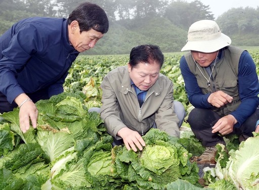 고랭 이미지