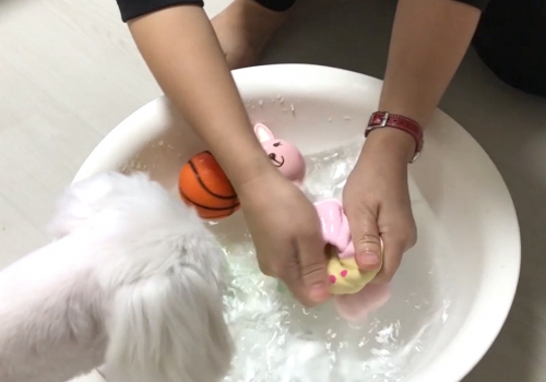 소금크린 이미지