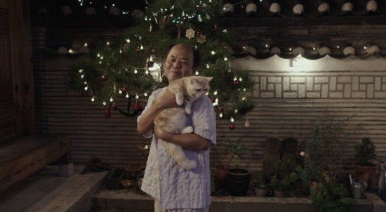 나만없어고양이 이미지