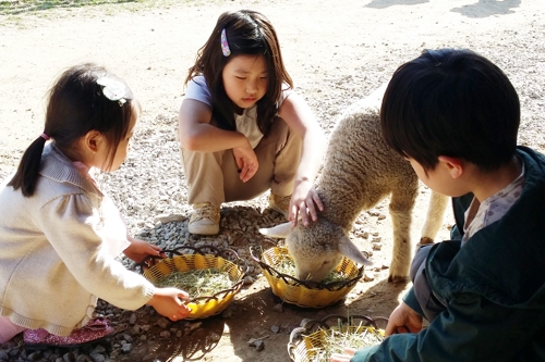 초원 이미지