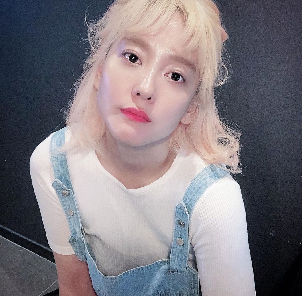 다나 이미지