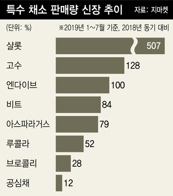다국적식탁 이미지