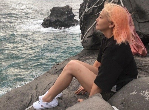 다나서비스 이미지