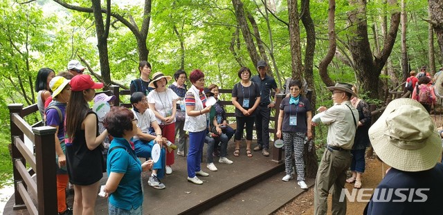 패밀리관광여행사 이미지