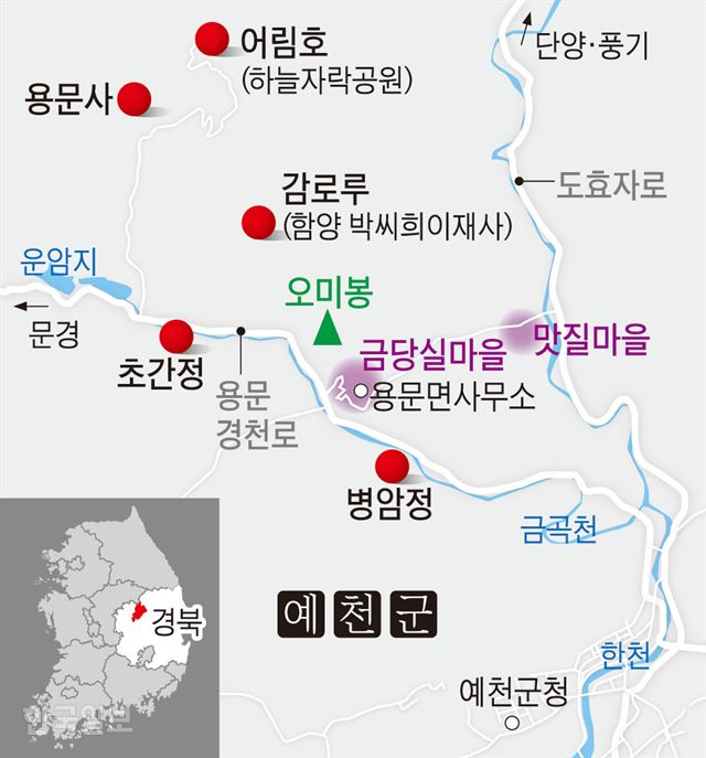 넝쿨다방 이미지
