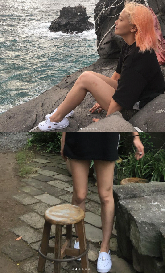 다나서비스 이미지