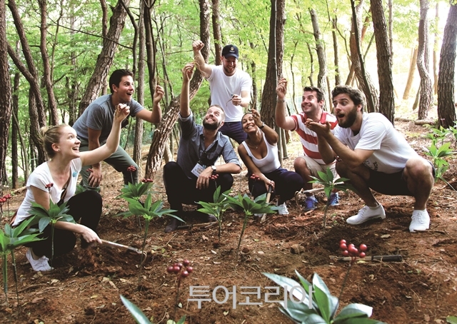 이팔청춘 이미지