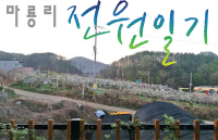 원토목설계사무소 이미지