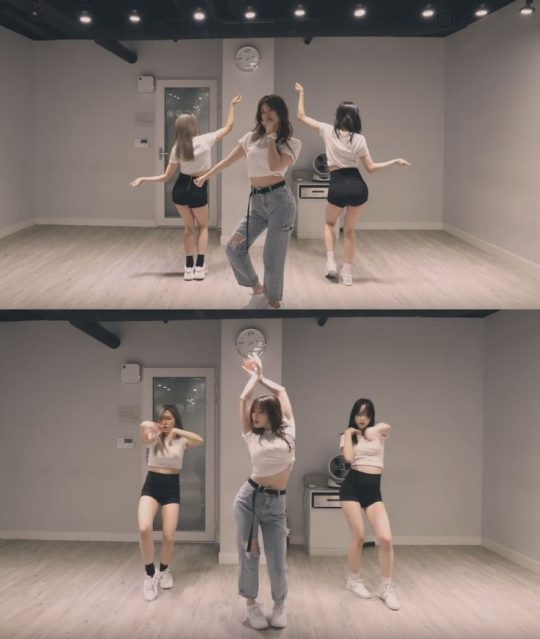 어필커버17 이미지
