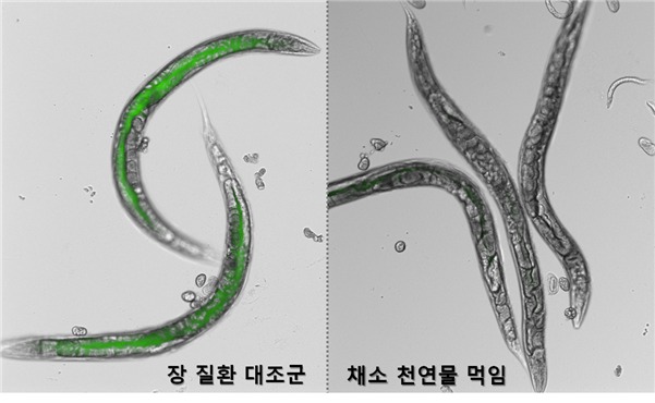 한국천연물연구소 이미지