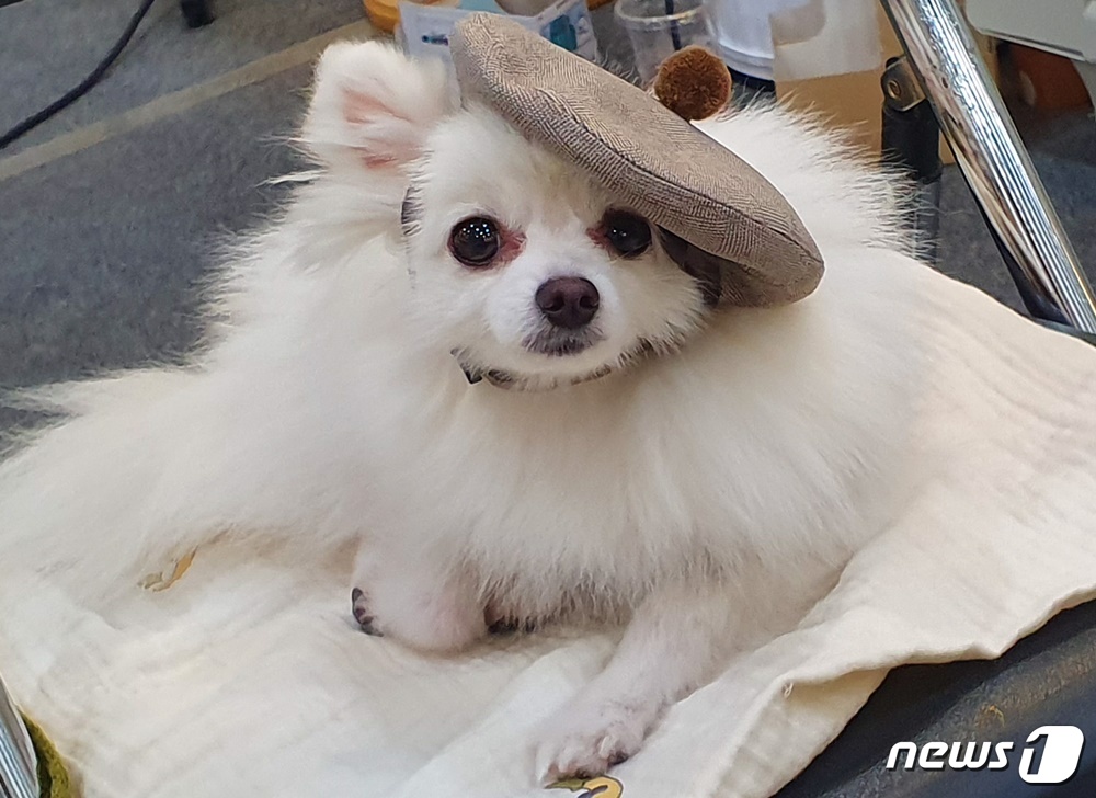 내츄럴발란스인천 이미지