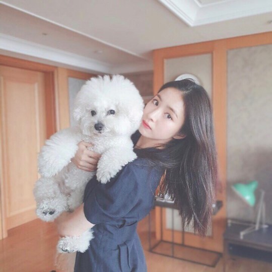 Shin Se-kyung reveals Pet loveShin Se-kyung released a picture of Pet on his Instagram on September 2 with an article entitled Big and Heavy Wools and # Shinjinguk.In addition to the cute Pet, the small face of Shin Se-kyung, just before the extinction, comes into view.pear hyo-ju