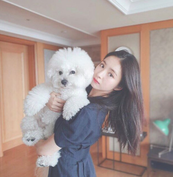 Actor Shin Se-kyung shows off his beautiful look with PetShin Se-kyung posted a picture on his Instagram on the 2nd of last month with an article entitled Big and Heavy Wool Angry.He then named Pet with a hashtag called Shin Chu.In the photo, Shin Se-kyung stares at the camera with a large Pet, especially Shin Se-kyungs beautiful looks.The netizens who responded to this came up with various responses such as Chen Chu is cute, Pose big hit and Clean and beautiful.Shin Se-kyung is appearing in the MBC drama Na Hae-ryung as Na Hae-ryung.