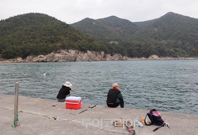 약산도 이미지