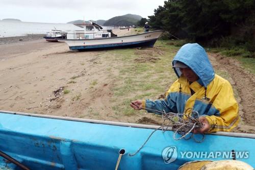링링 이미지