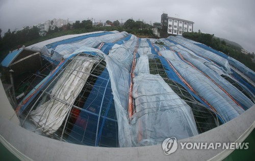 제주동동 이미지