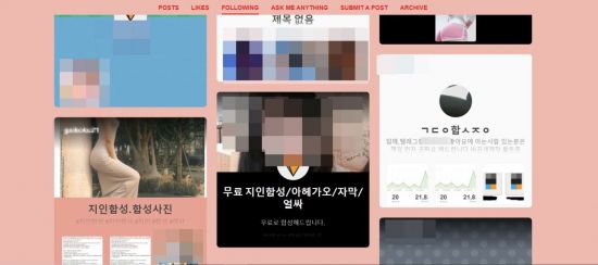 합성 자막 tumblr 음란물 검열하겠다던 1세대 SNS 텀블러..여전히 남아있는 그 흔적들