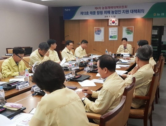 링링모바일 이미지