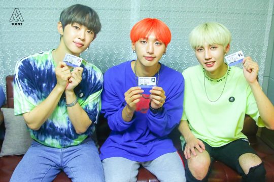 몬트 이미지