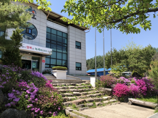 벌채지역 이미지