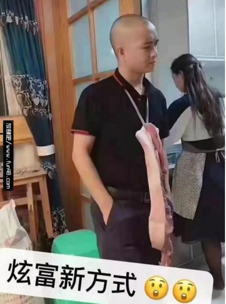 돼지통신 이미지