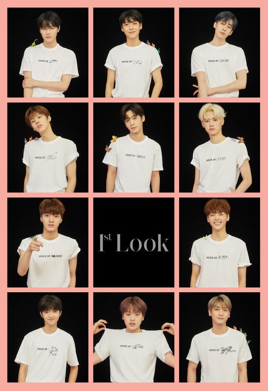 이엑스원 이미지