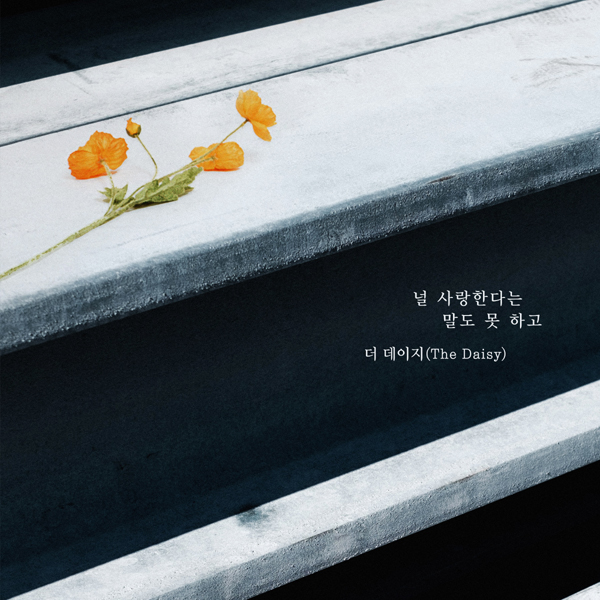 더 데이지 이미지