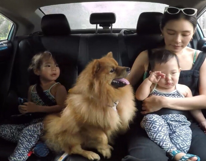 똥강아지 이미지