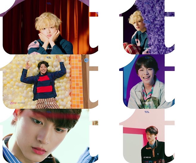 틴틴 이미지
