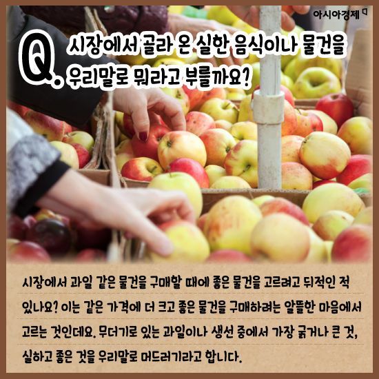 머드러기 이미지